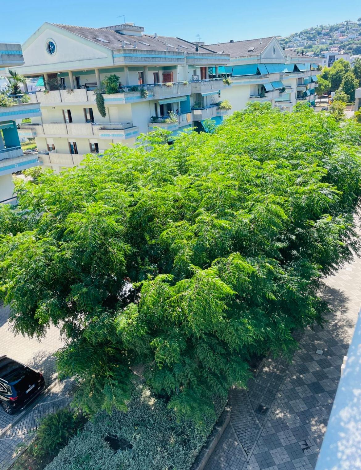 Attico Vista E Fronte Mare Zaffiroblu Con Posto Auto Apartamento Montesilvano Marina Exterior foto